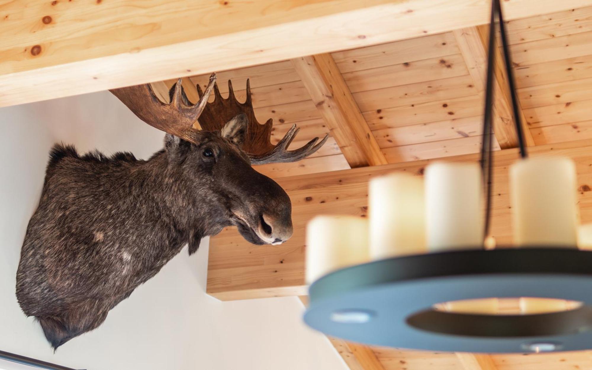 Chalet Dorf Alpenleben By Alpentravel *
